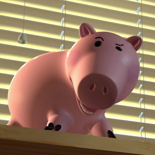 HAM 3D - TAZA