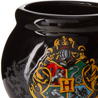 CALDERO/TAZA HARRY POTTER