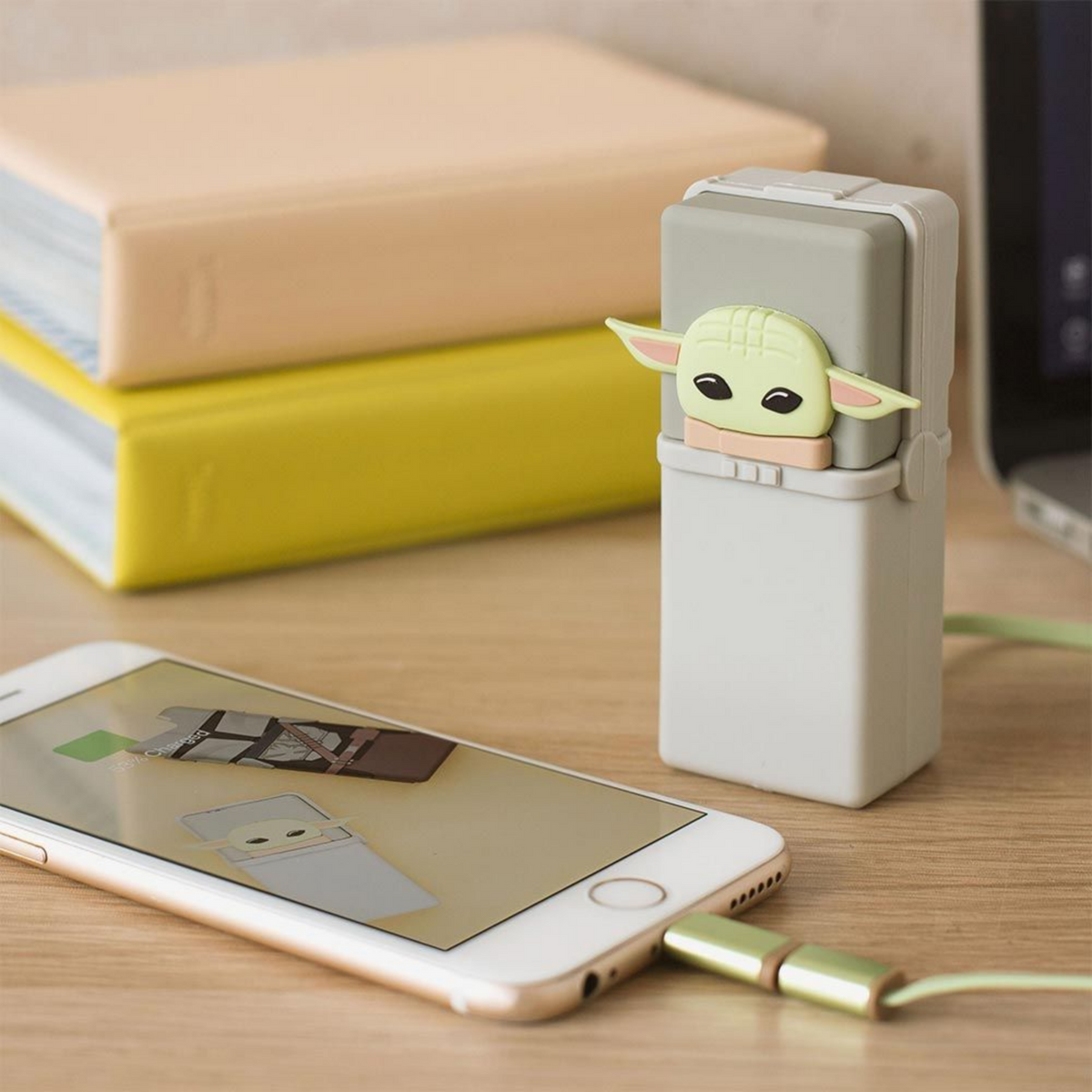 THE CHILD POWER BANK